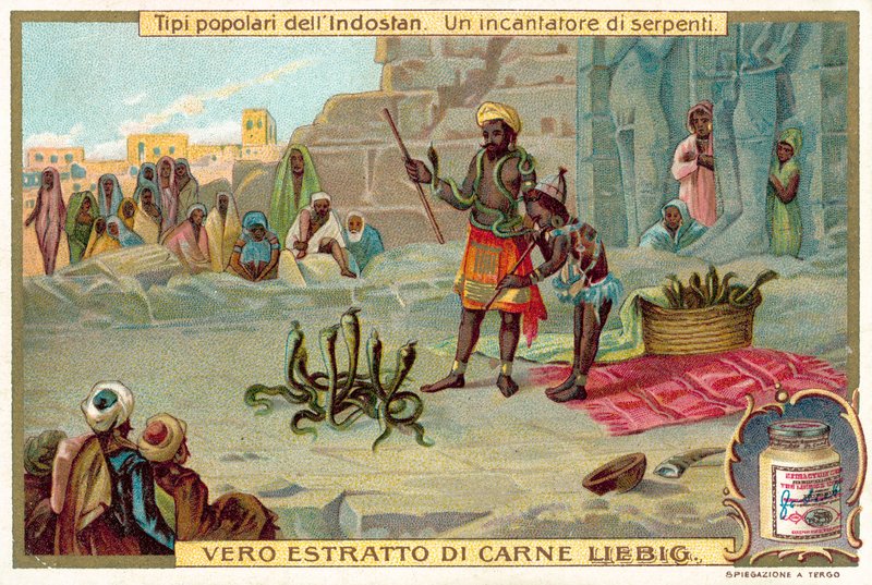 Bir yılan oynatıcısı (chromolitho) by European School