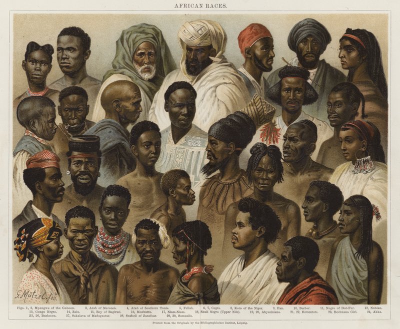 Afrika Yarışları by European School