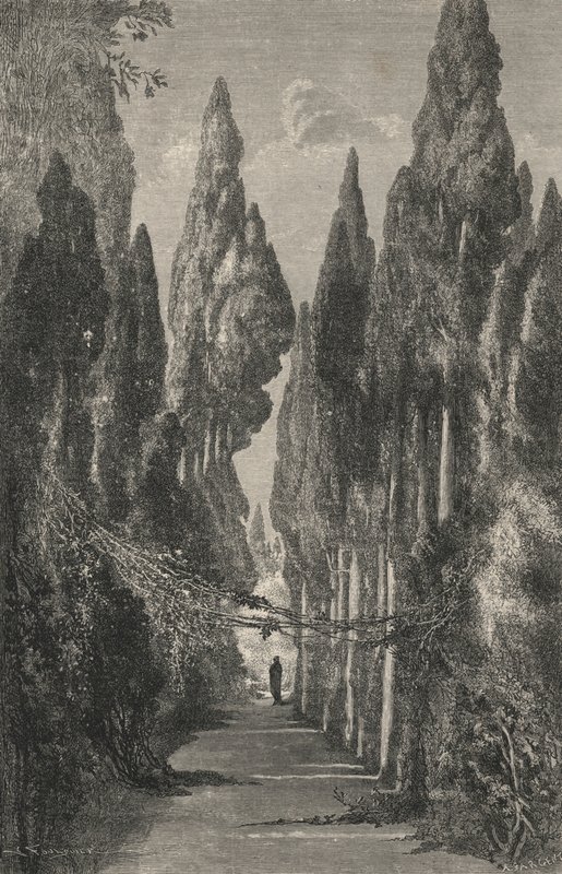 Allee Du Generalife (gravür) by European School