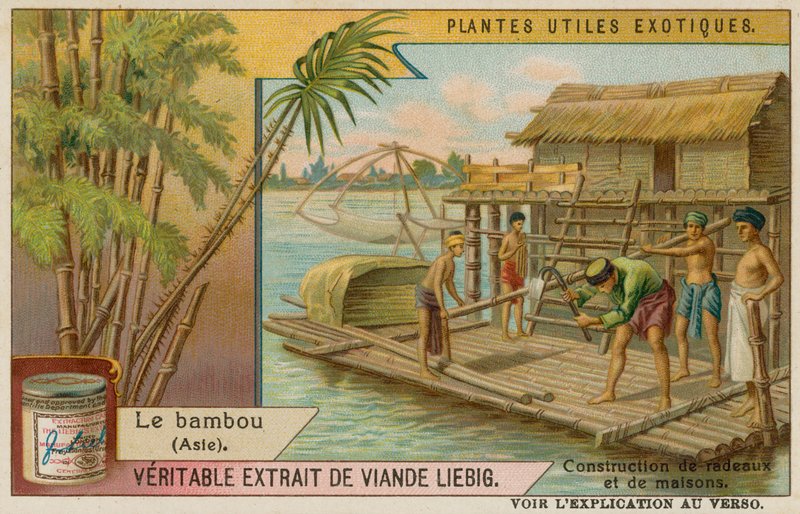 Bambu by European School