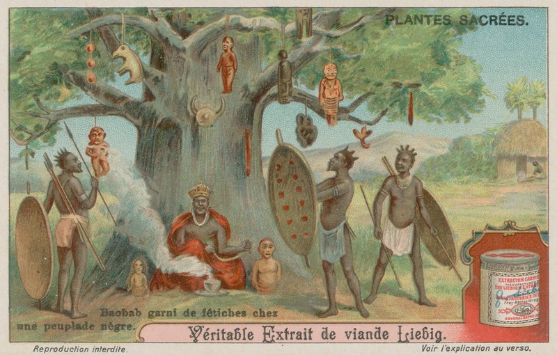Baobab Ağacı, bir Afrika kabilesi tarafından fetişlerle asıldı by European School