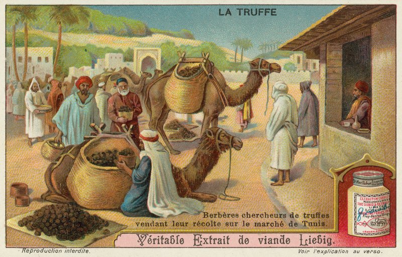 Berberiler Tunus