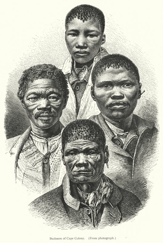 Cape Colony