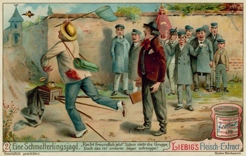 Kelebek Avı ve Fotoğrafçılığı by European School