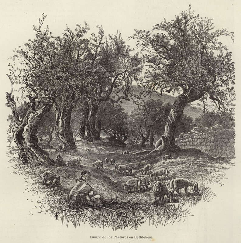 Beytüllahim
