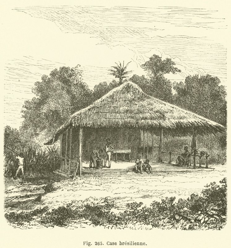 Brezilya kutusu (gravür) by European School