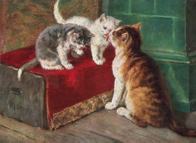 Kedi kartpostalı (renkli taş baskı) by European School