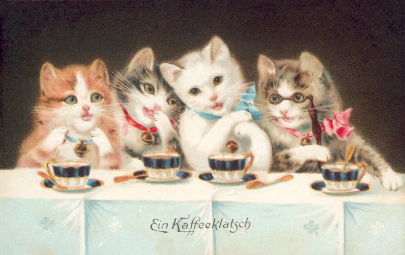 Kedi kartpostalı (renkli taş baskı) by European School