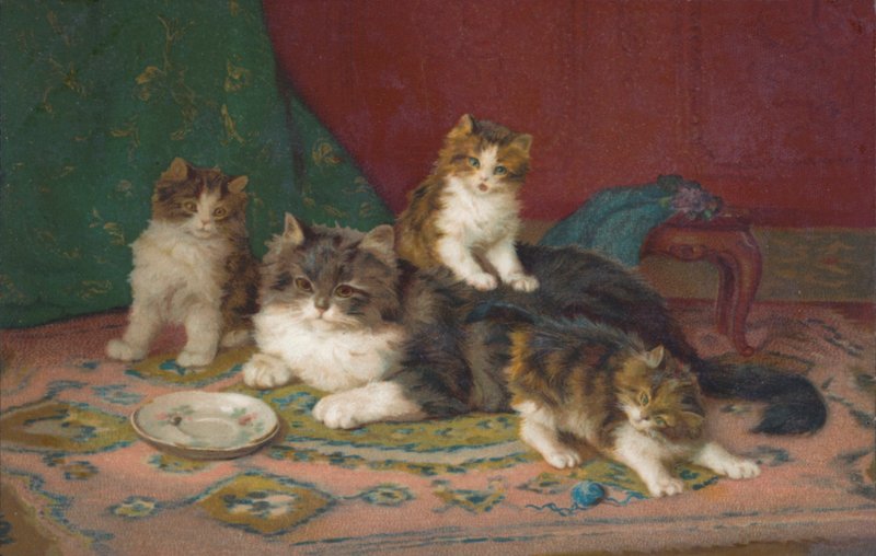 Kedi kartpostalı (renkli taş baskı) by European School