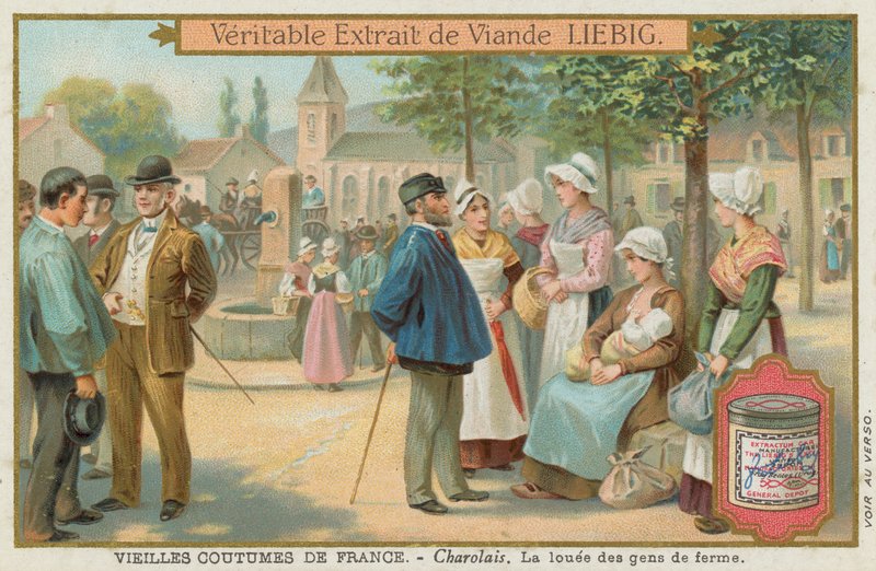 Şarolais by European School