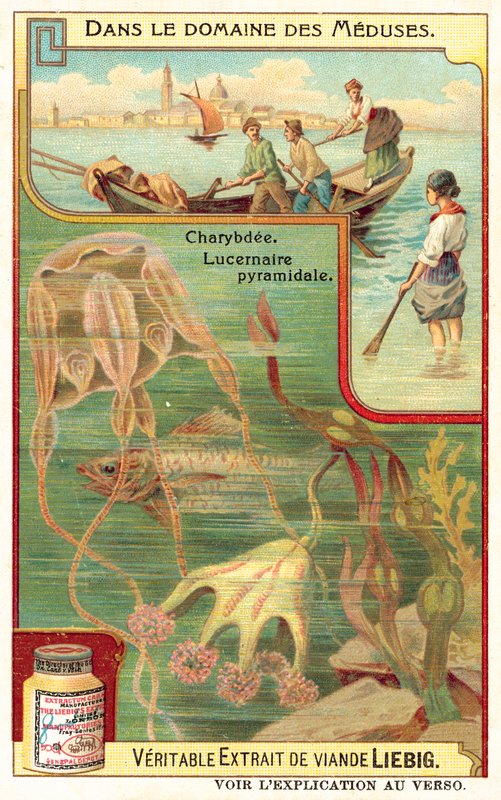 Charybdis ve Piramidal Lucernia (chromolitho) by European School