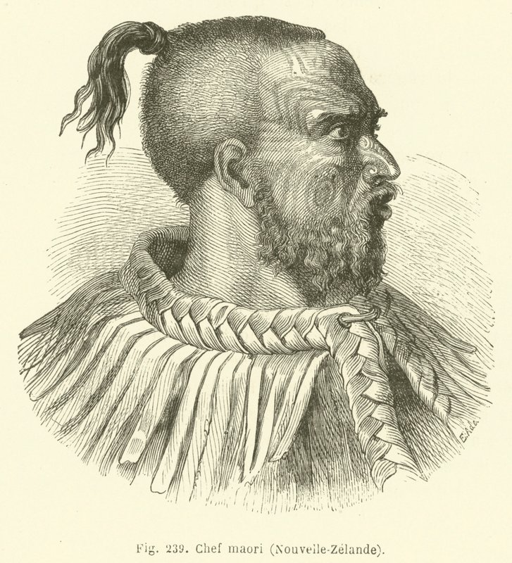 Maori şefi, Yeni Zelanda (gravür) by European School
