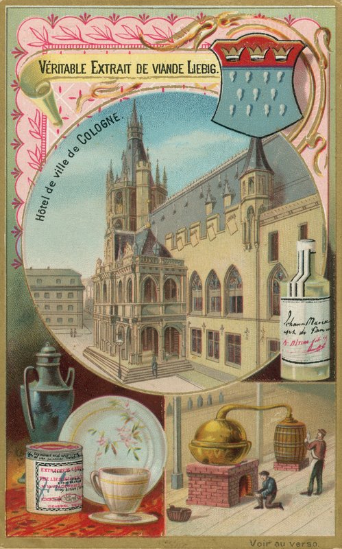 kolonya by European School