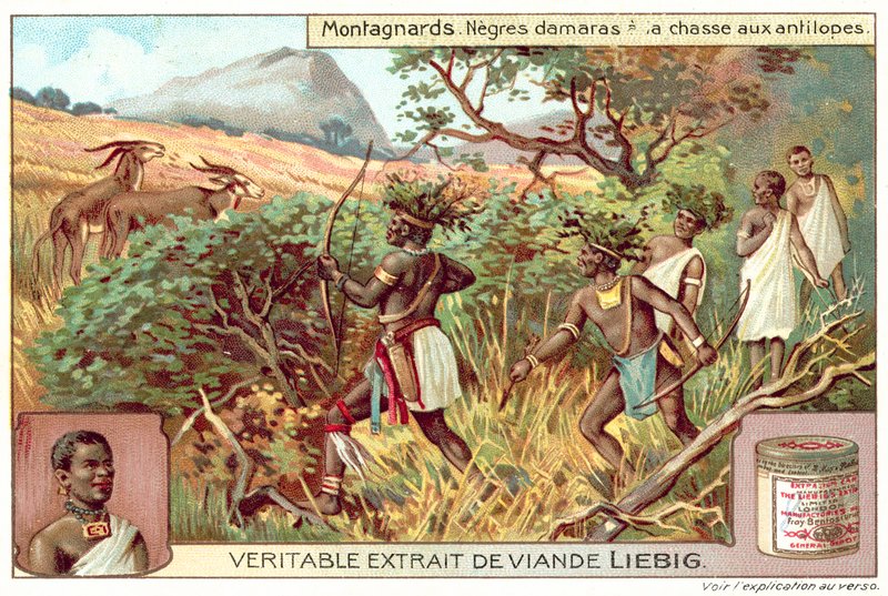 Damaras av antilopları (chromolitho) by European School