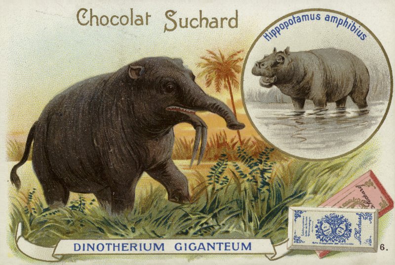 Deinotherium Giganteum ve su aygırı by European School