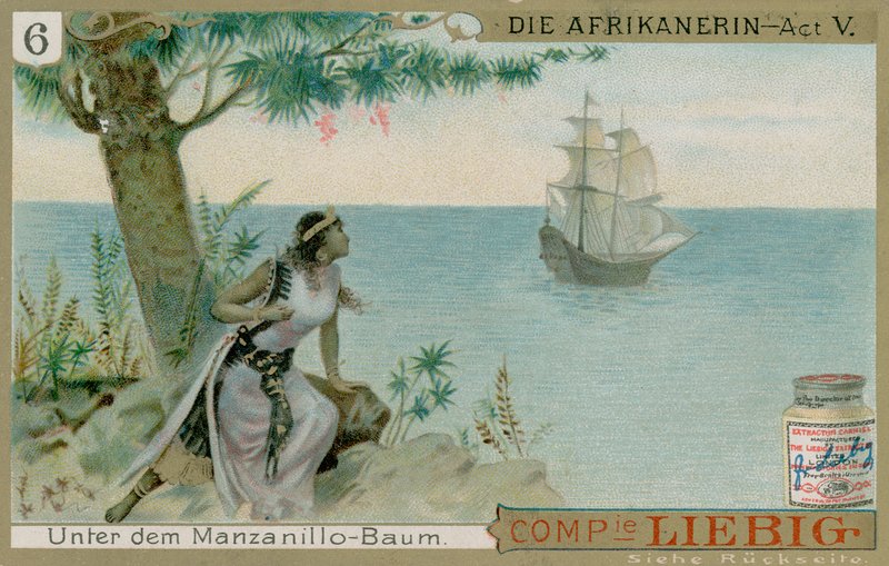Die Afrikanerin: 5. Perde by European School