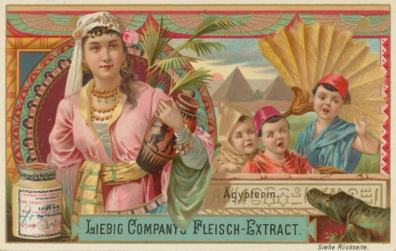 Mısır by European School