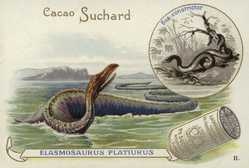 Elasmosaurus ve boa yılanı by European School
