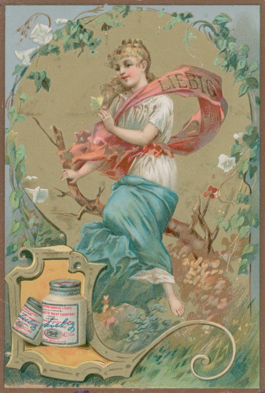 Mavi Halk Kızı by European School