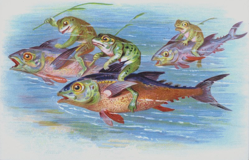 Balıklara binen kurbağalar (chromolitho) by European School