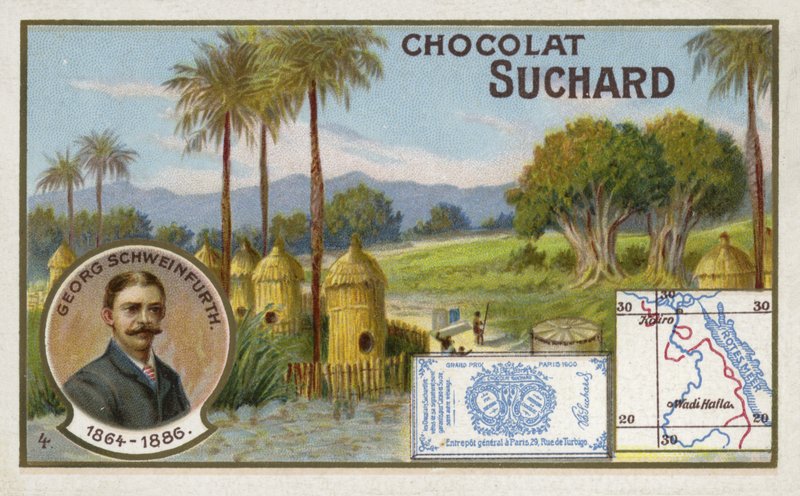 Georg Schweinfurth, Alman botanikçi ve kaşif by European School