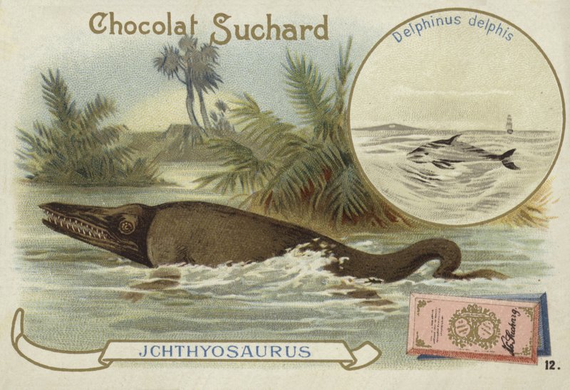 Ichthyosaur ve ortak yunus by European School