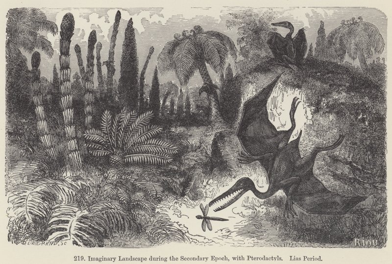 Pterodactyls ile İkincil Dönemde Hayali Manzara, Lias Dönemi (gravür) by European School