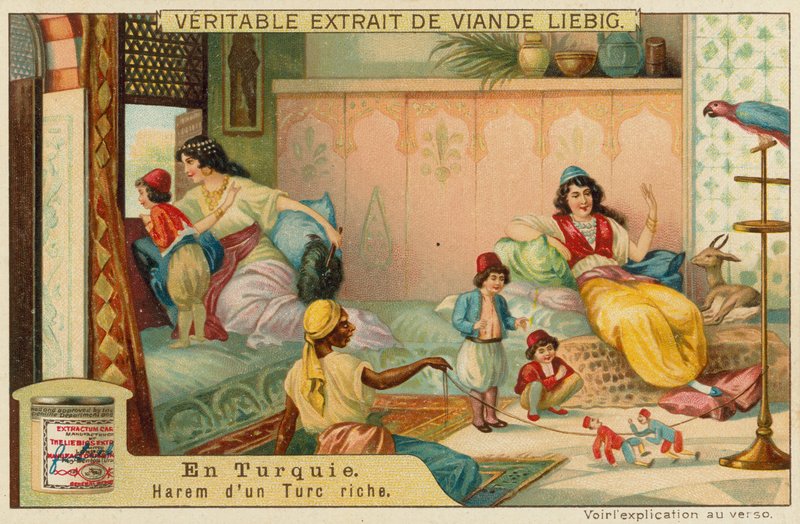Zengin bir Türk'ün hareminde by European School