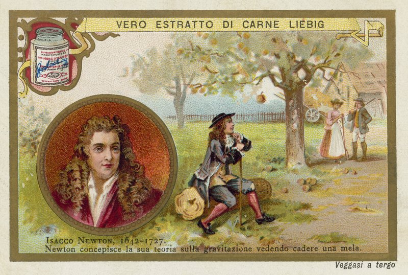 Isaac Newton, İngiliz fizikçi ve matematikçi by European School