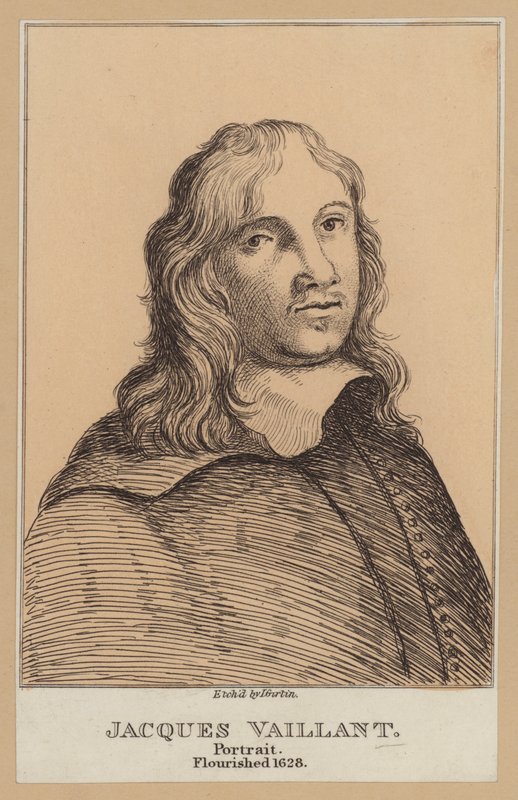 Jacques Vaillant, Hollandalı ressam (gravür) by European School