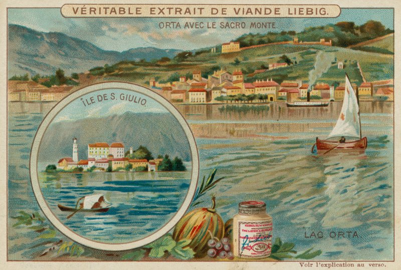 Orta Gölü by European School