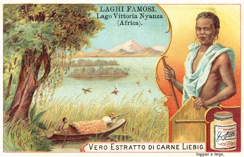 Victoria Gölü, Afrika (chromolitho) by European School