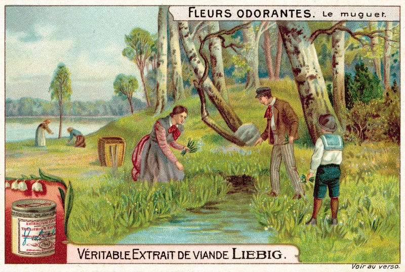 Vadideki zambak (chromolitho) by European School