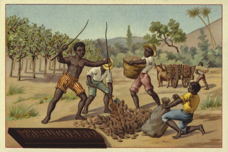 Kakao kabuklarını çuvallara yükleme, Afrika by European School
