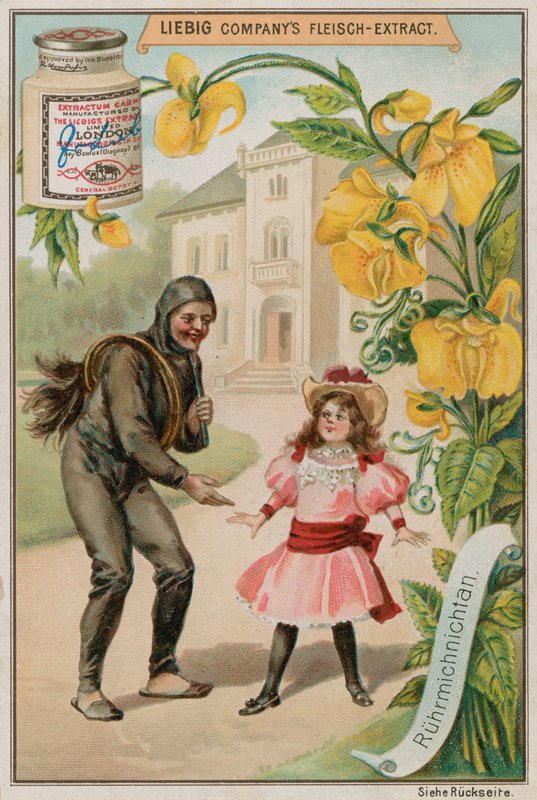 Mimoza by European School