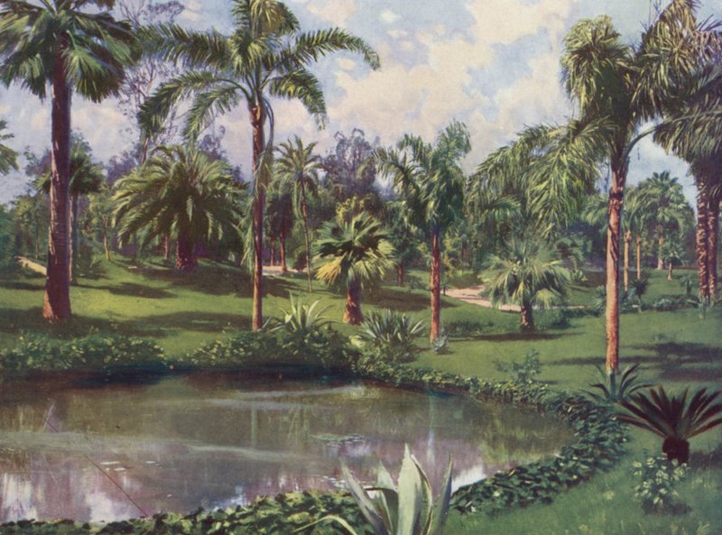 Monte-Carlo, Le Jardin du Casino (renkli taş baskı) by European School