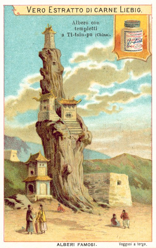 Çin