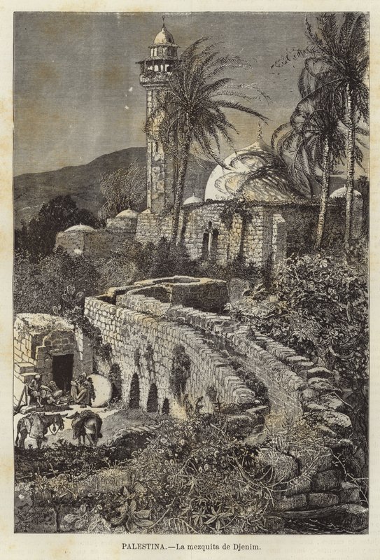 Filistin, Djenim Camii by European School