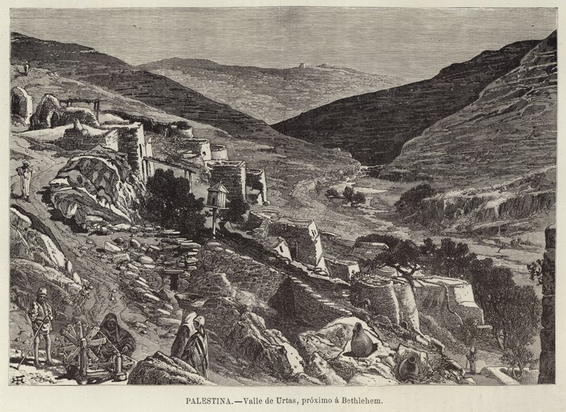 Filistin, Urtas Vadisi, Beytüllahim yakınında by European School