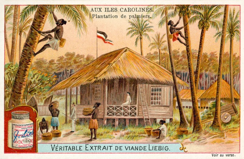 Palmiye ekimi, Caroline Adaları (chromolitho) by European School