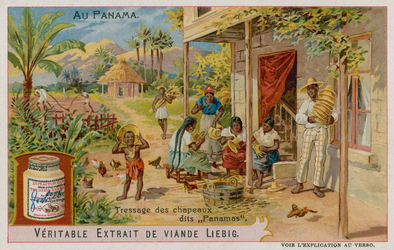 Panama Şapkaları Yapılıyor by European School