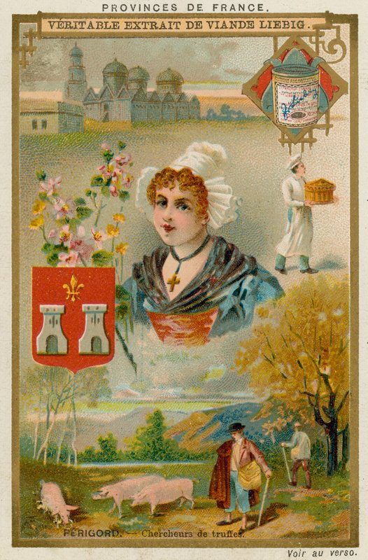 perigord by European School