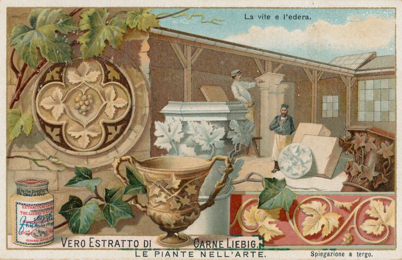 Sanatta bitkiler, Liebig kartı, 20. yüzyıl başı (kromo) by European School