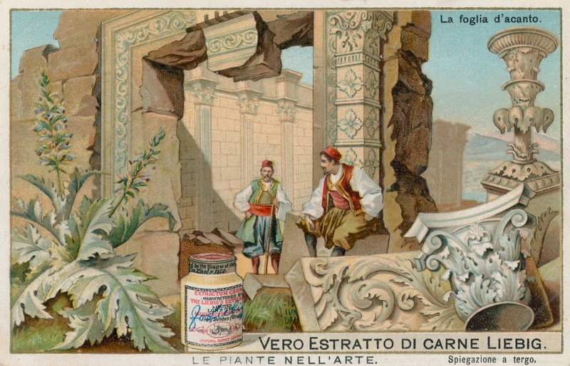 Sanatta bitkiler, Liebig kartı, 20. yüzyıl başı (kromo) by European School
