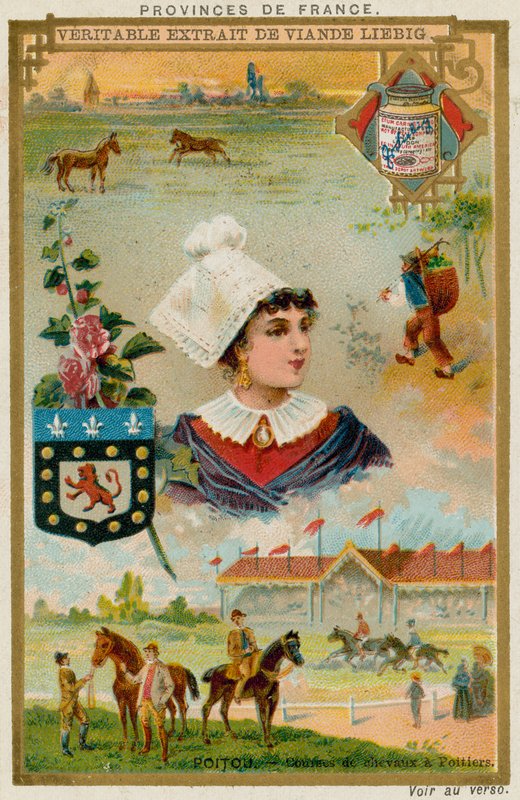 poitou by European School