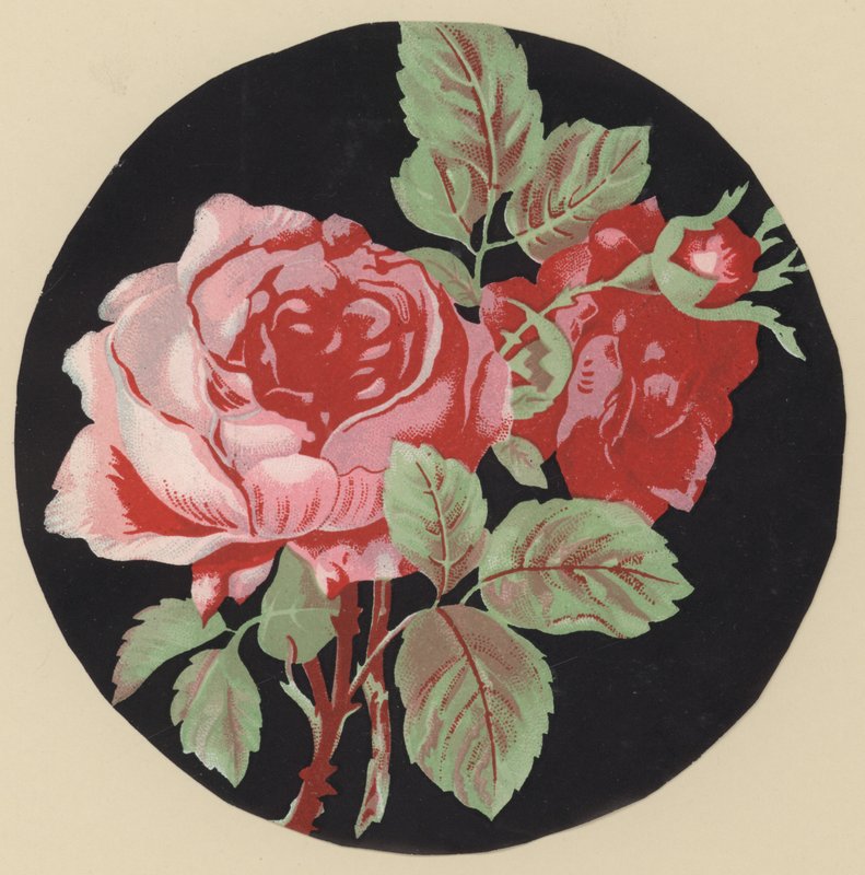 Pembe (renkli lito) by European School