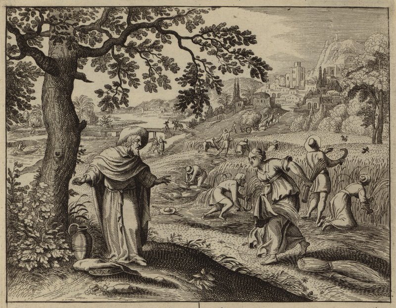 Ruth, tarlasında ot toplarken Boaz