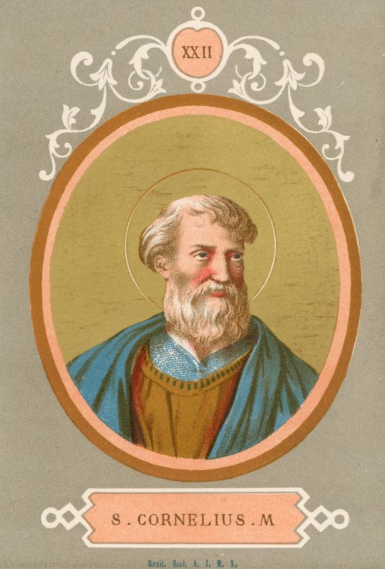 S Cornelius M by European School
