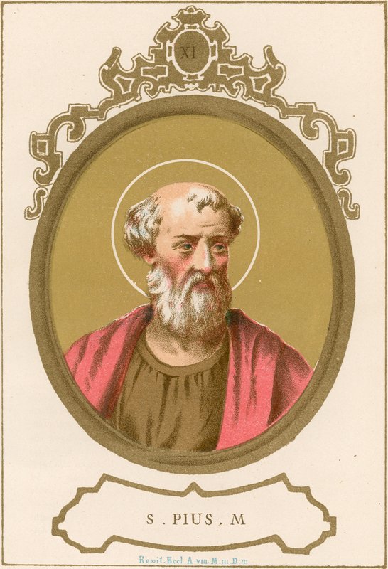 S Pius M by European School