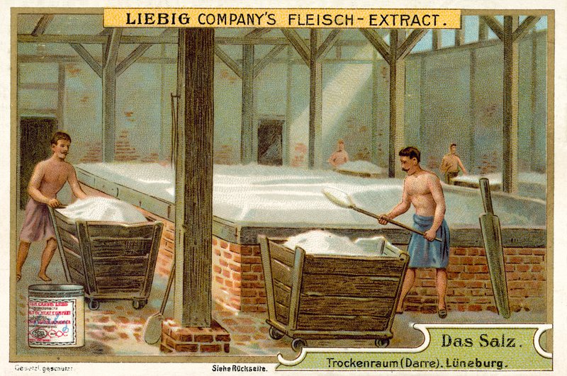 Tuz: kurutma odası, Lüneburg, Almanya (chromolitho) by European School
